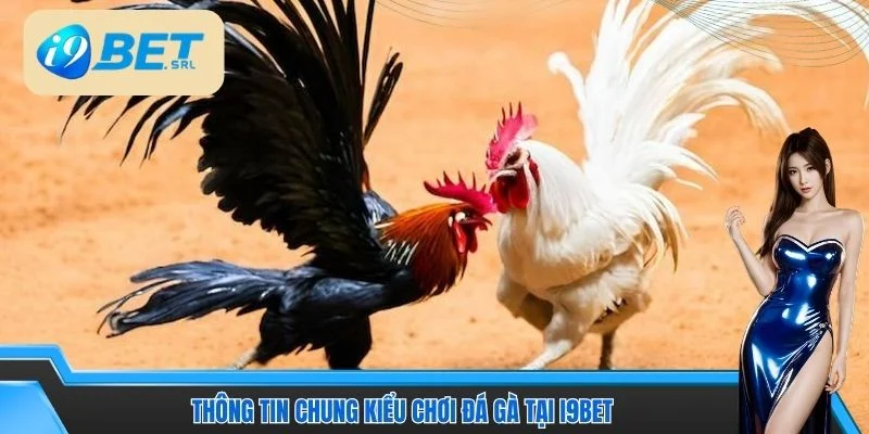 Thông tin chung kiểu chơi đá gà tại I9BET